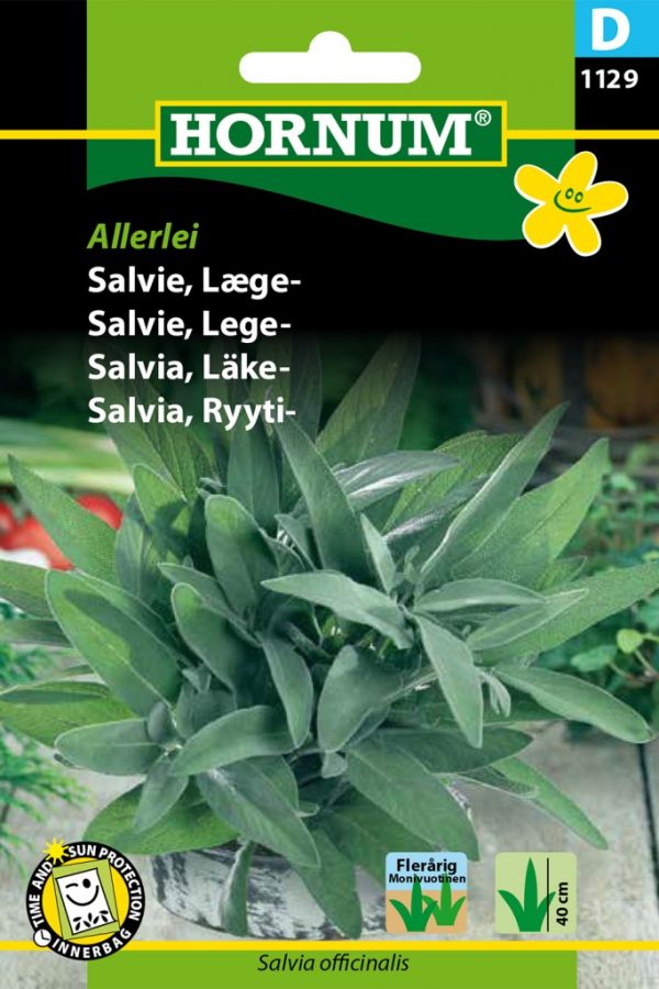 Ryytisalvia