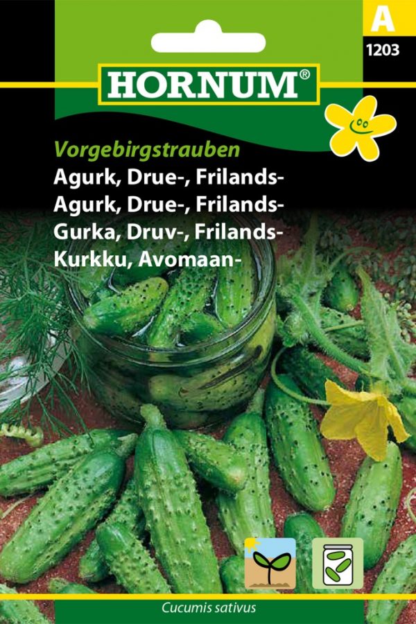 Avomaankurkku Vorgebirgstrauben