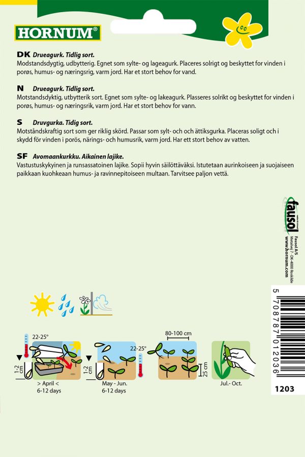 Avomaankurkku Vorgebirgstrauben - Image 2