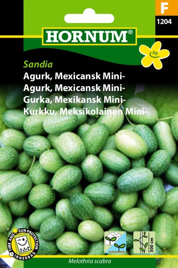 Meksikolainen Minikurkku