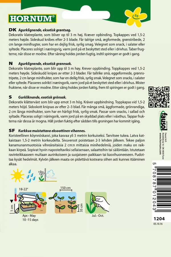 Meksikolainen Minikurkku - Image 2