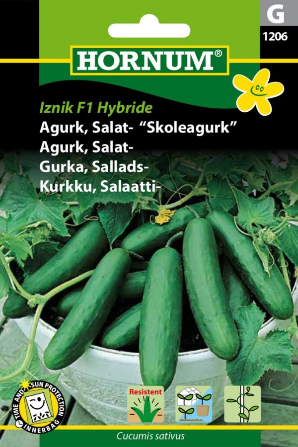Kurkku, Salaatti-