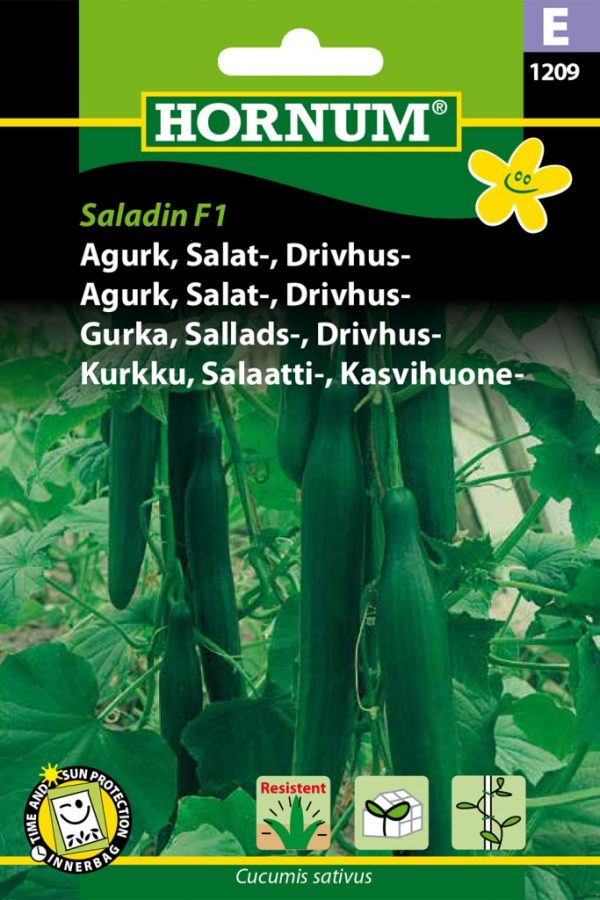 Kasvihuonekurkku Saladin F1, Salaatti