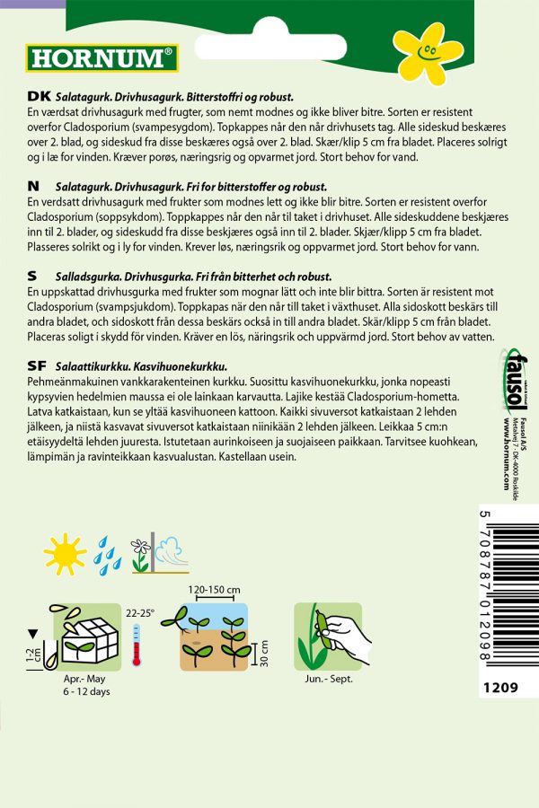 Kasvihuonekurkku Saladin F1, Salaatti - Image 2