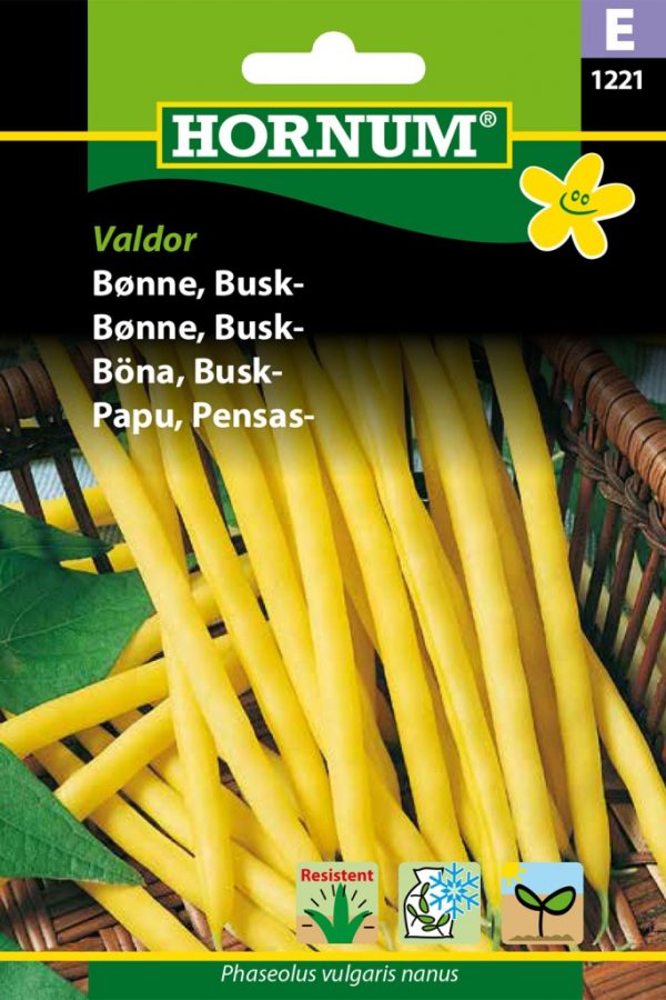 Pensaspapu Valdor