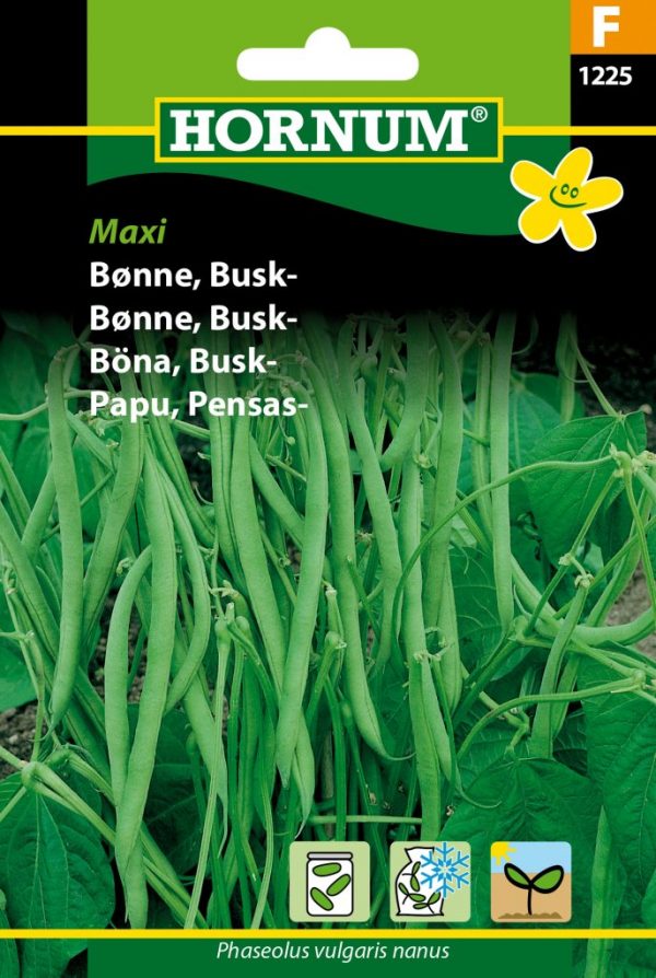 Pensaspapu Maxi