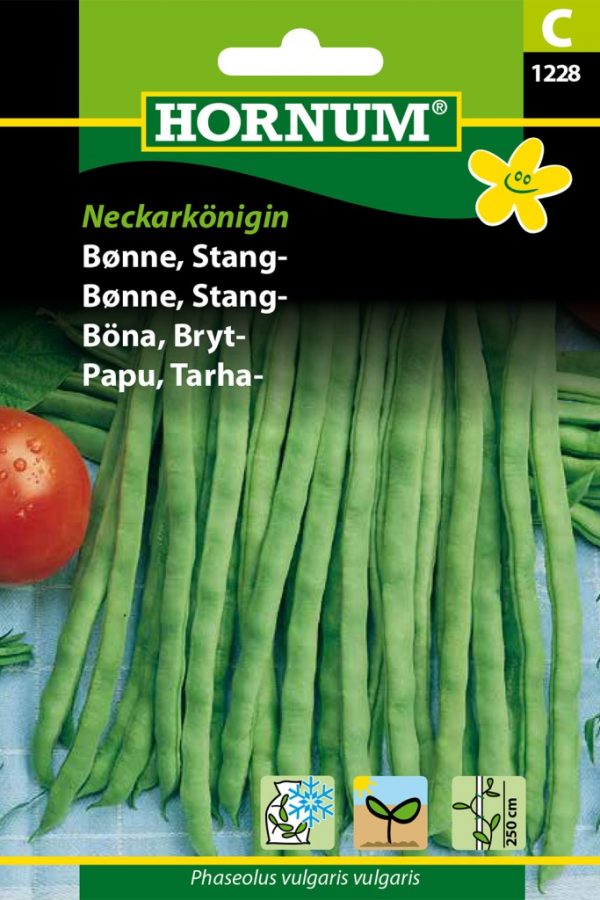 Tarhapapu Neckarkönigin
