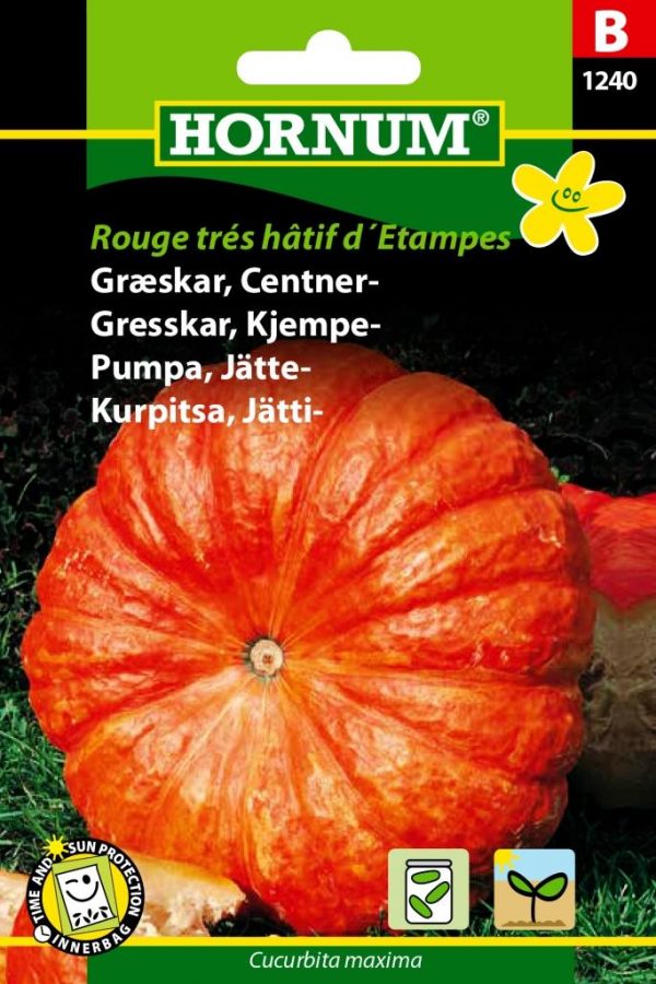 Jättikurpitsa Rouge trés hâtif d´Etampes