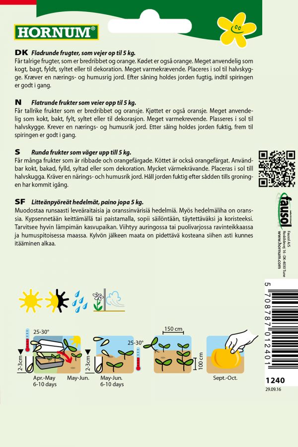 Jättikurpitsa Rouge trés hâtif d´Etampes - Image 2