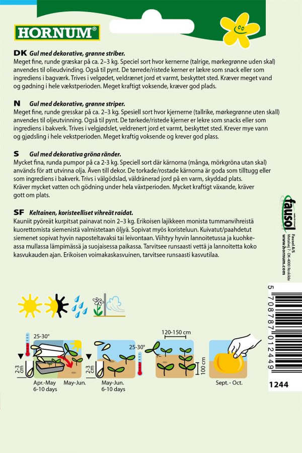 Kesäkurpitsa Gleisdorfer Ölkürbis - Image 2