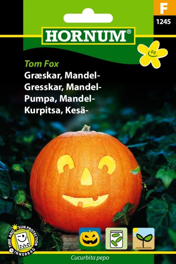 Kesäkurpitsa Tom Fox