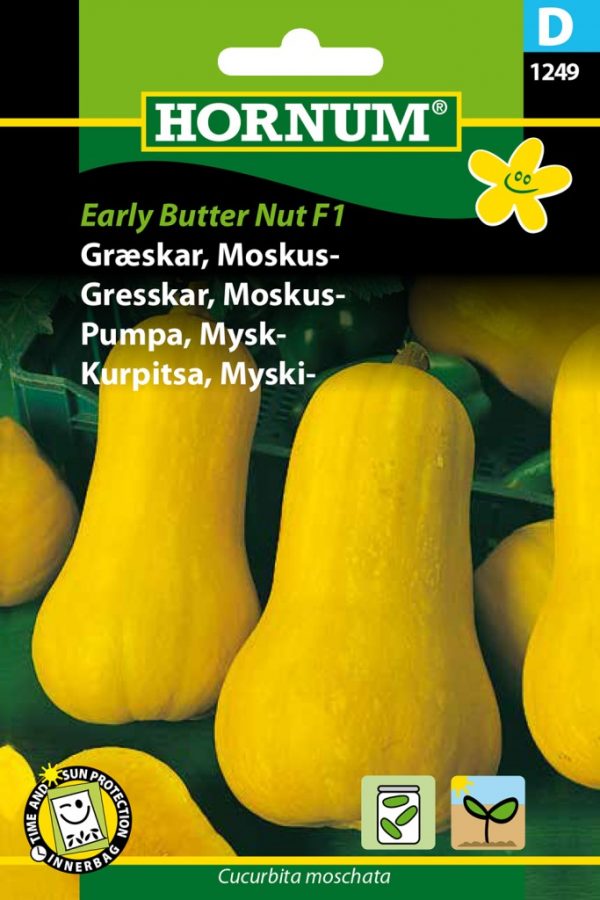 Myskikurpitsa Early Butter Nut F1
