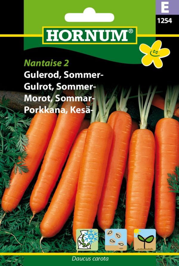 Kesäporkkana Nantaise 2