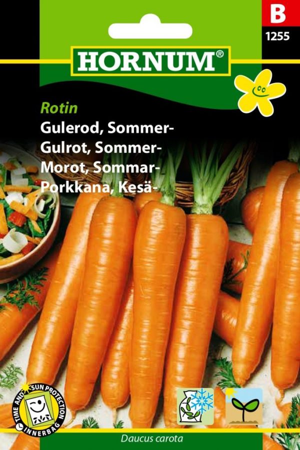 Kesäporkkana Rotin