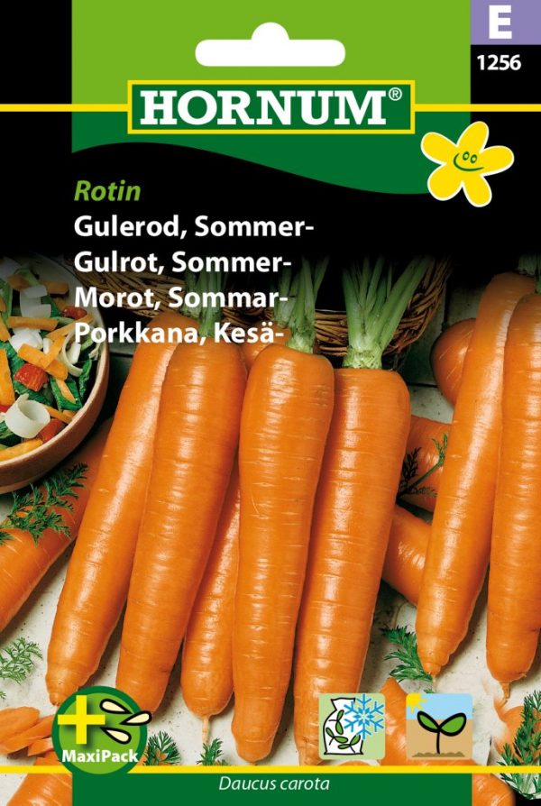 Kesäporkkana Rotin (MaxiPack)