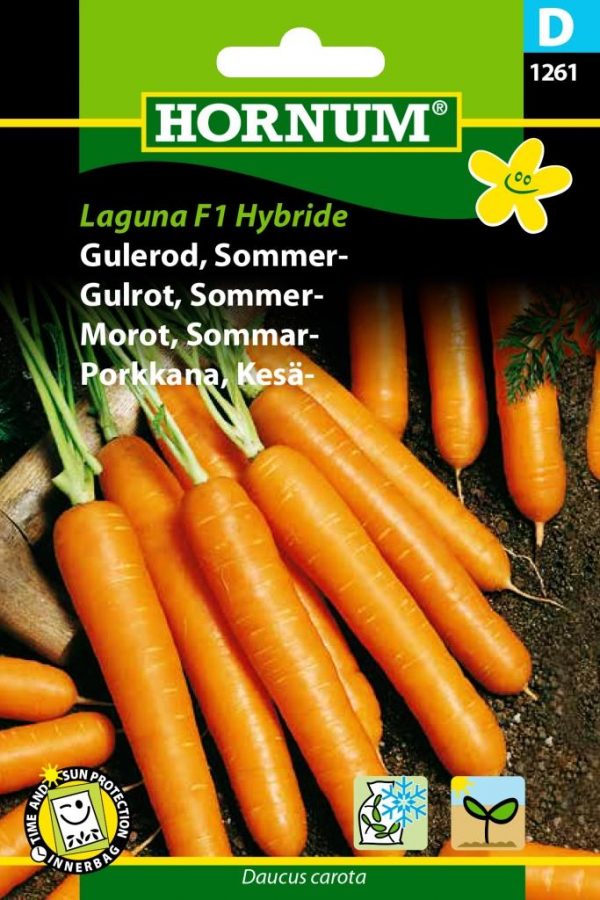 Kesäporkkana Laguna F1 Hybride
