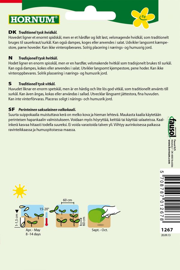Suippokaali Filderkraut - Image 2