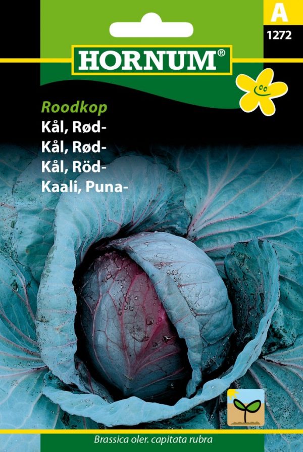 Punakaali Roodkop