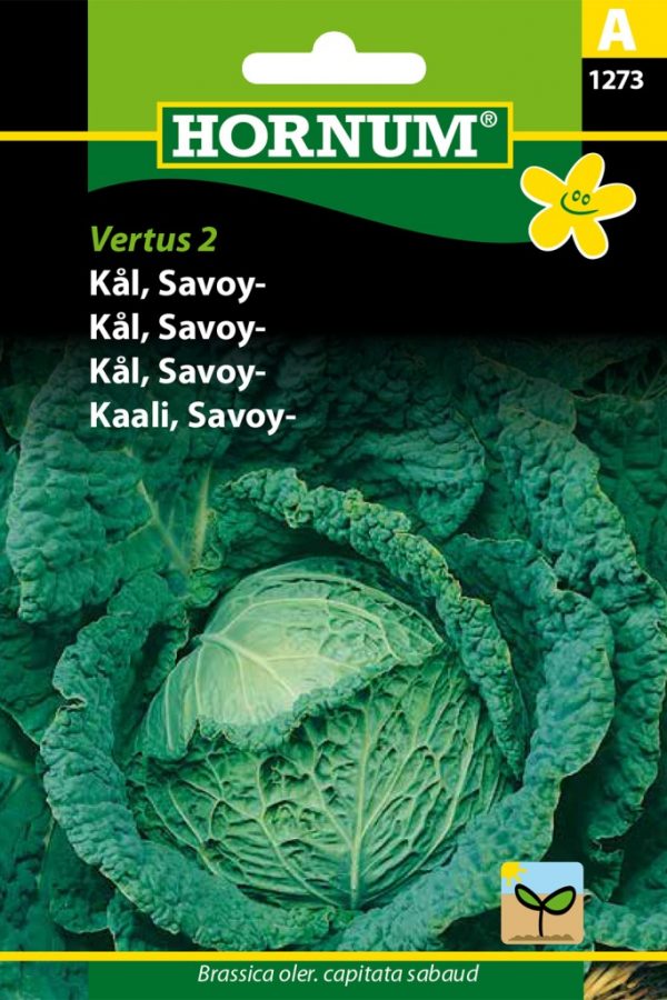 Savoykaali Vertus 2
