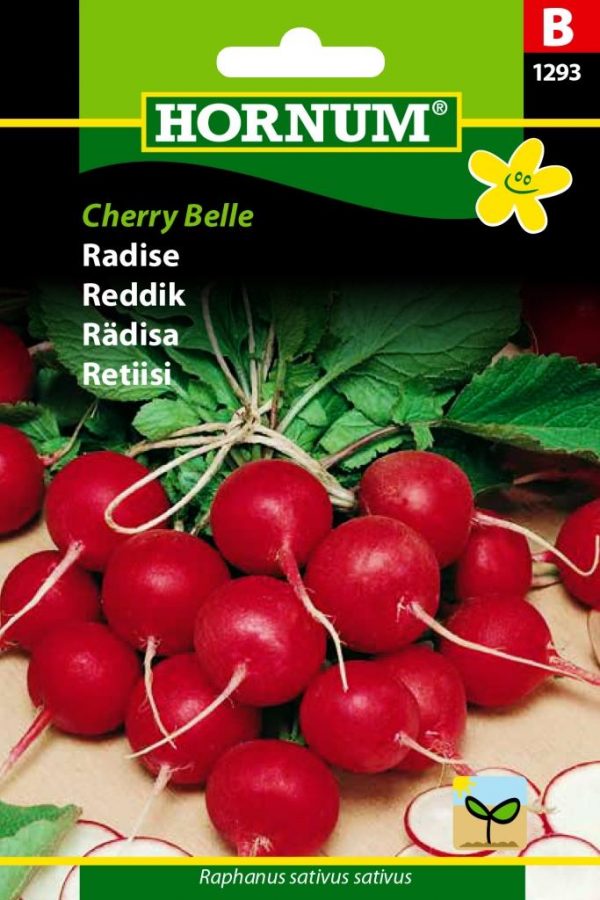 Retiisi Cherry Belle