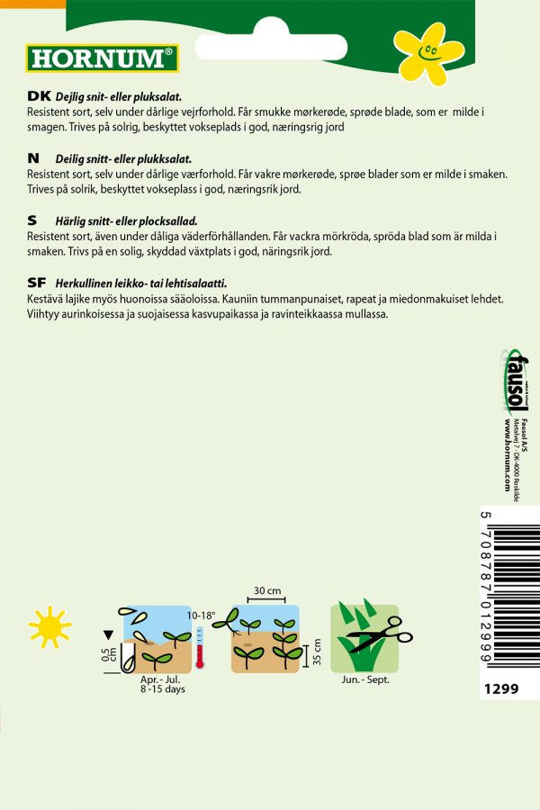 Salaatti, Lehti- - Image 2