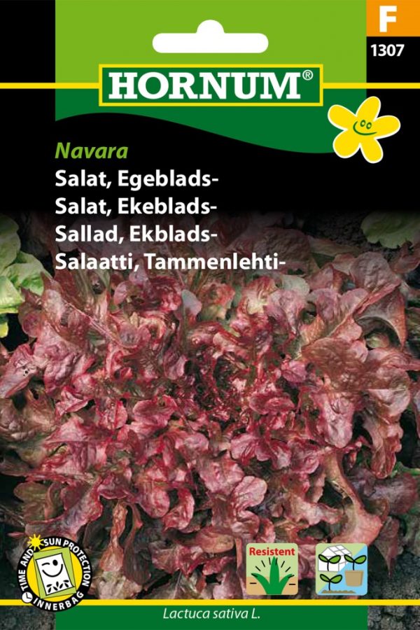 Salaatti, Tammenlehti-