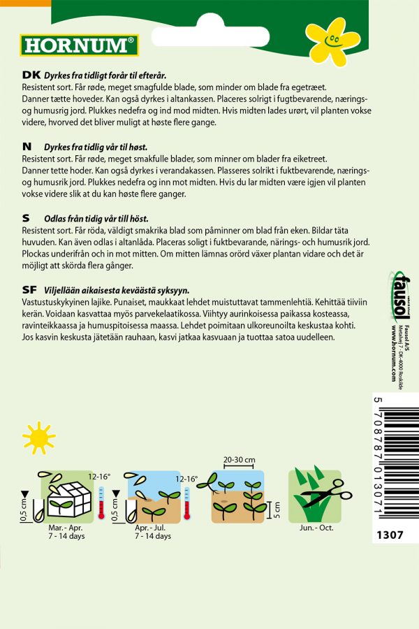 Salaatti, Tammenlehti- - Image 2
