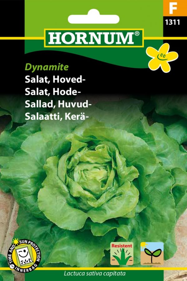Keräsalaatti Dynamite