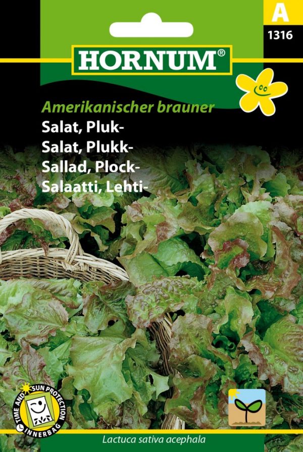 Lehtisalaatti Amerikanischer Brauner