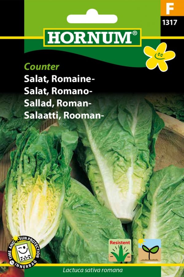Roomansalaatti