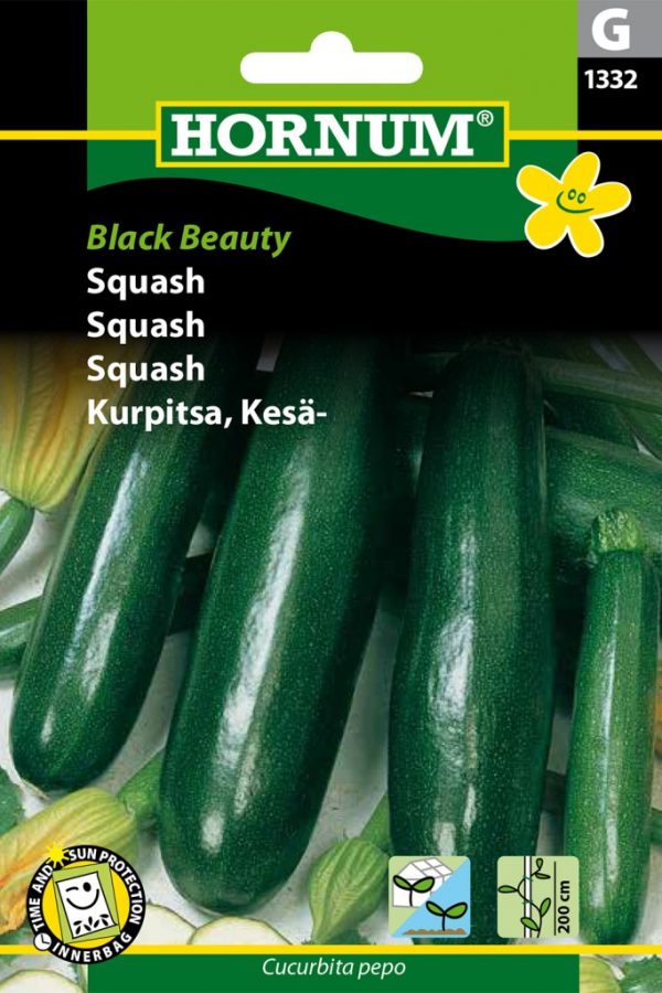 Kesäkurpitsa Black Beauty