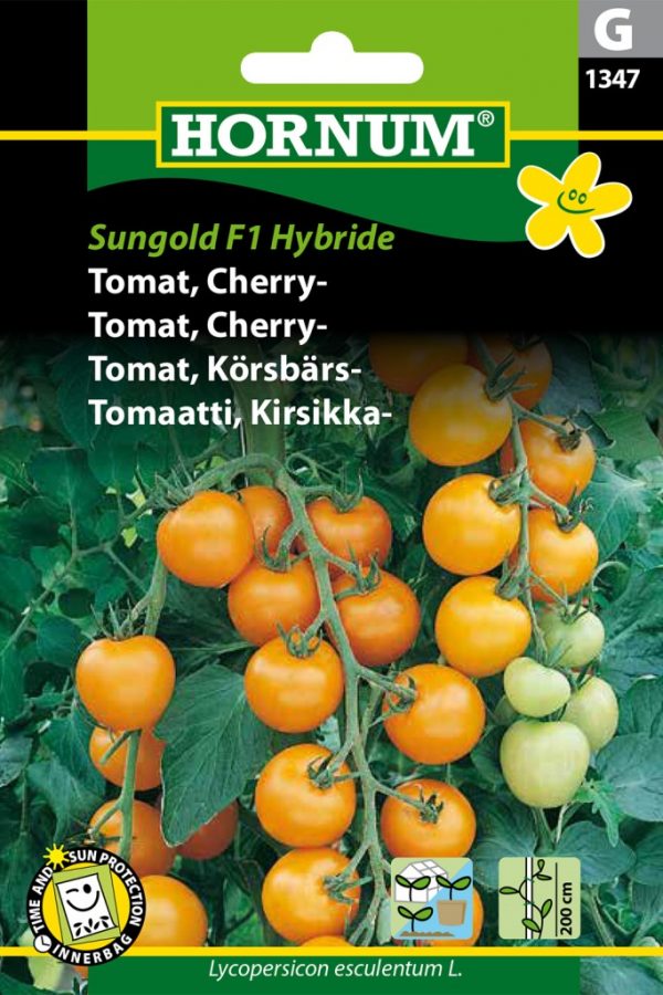 Kirsikkatomaatti Sungold F1 Hybride