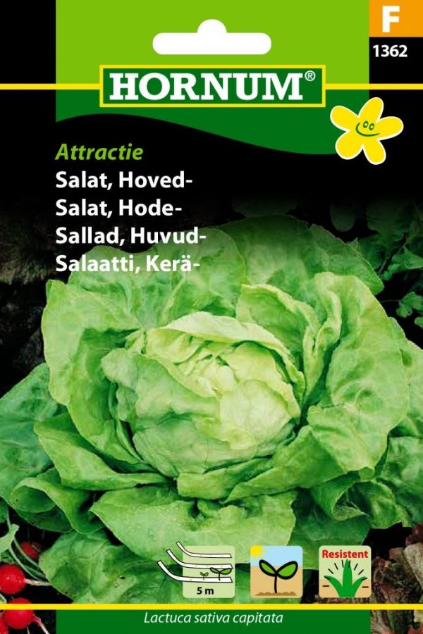 Keräsalaatti Attractie