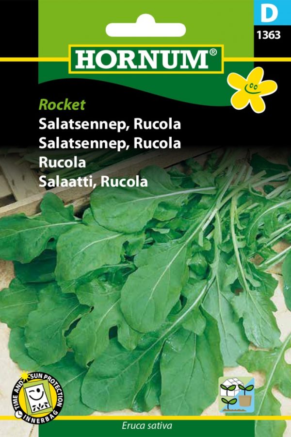 Salaatti, Rucola