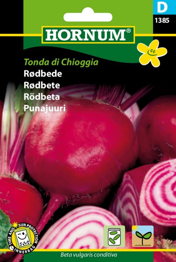 Punajuuri Tonda di Chioggia