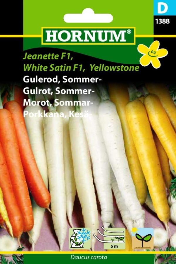Kesäporkkana