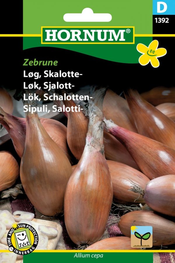 Sipuli, Salotti-