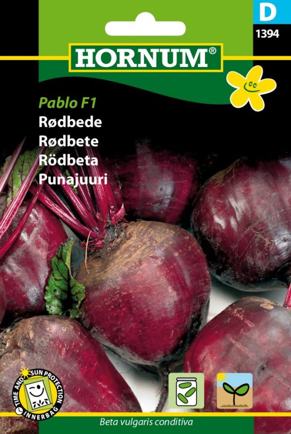 Punajuuri Pablo F1