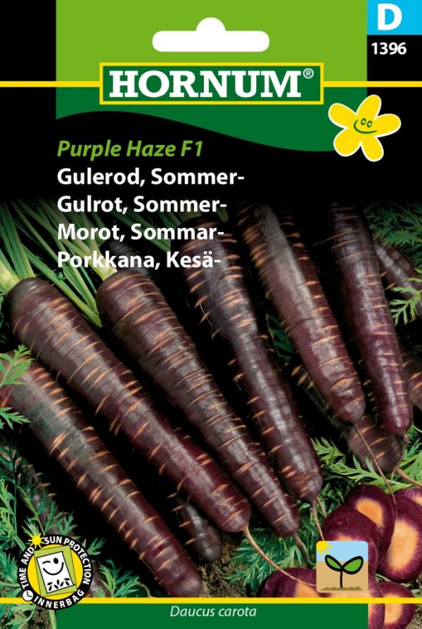 Kesäporkkana Purple Haze F1