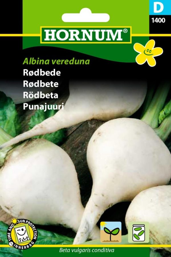 Punajuuri