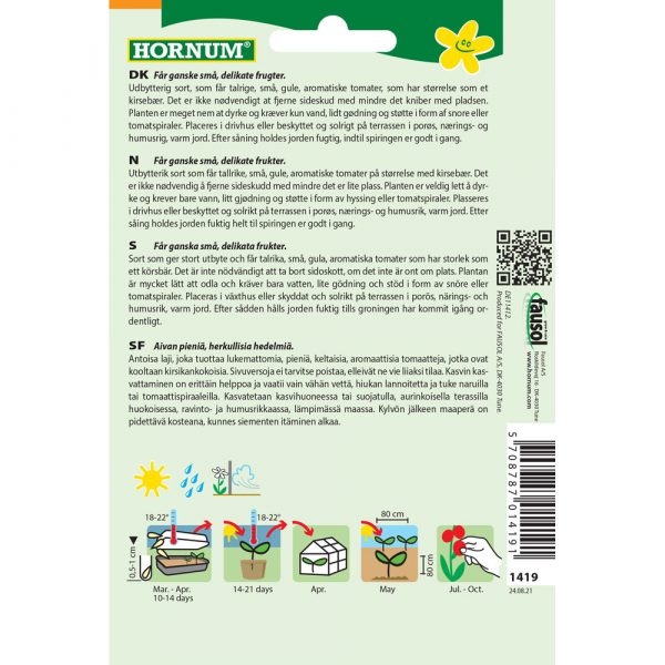 Viinimarjatomaatti Golden Currant - Image 2