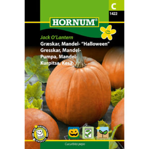 Halloweenkurpitsa Jack O´Lantern, siemenpussi