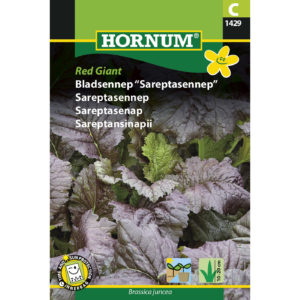 Sareptansinappi Red Giant