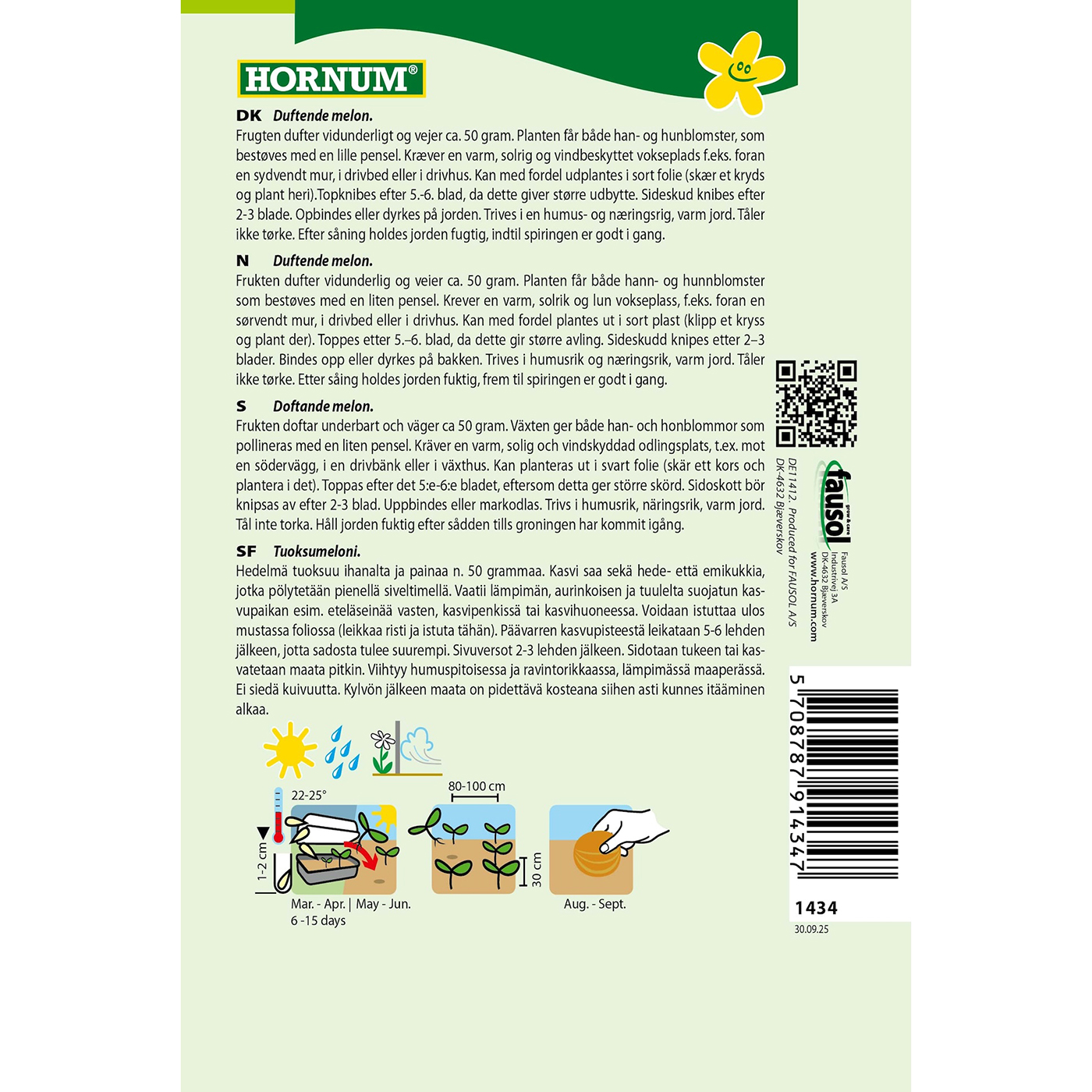 Tuoksumeloni Queen Anne´S Pocket Melon - Image 2