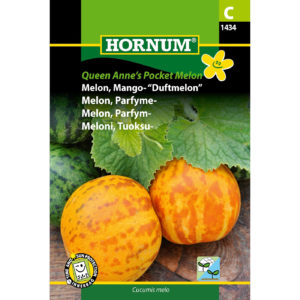 Tuoksumeloni Queen Anne´S Pocket Melon