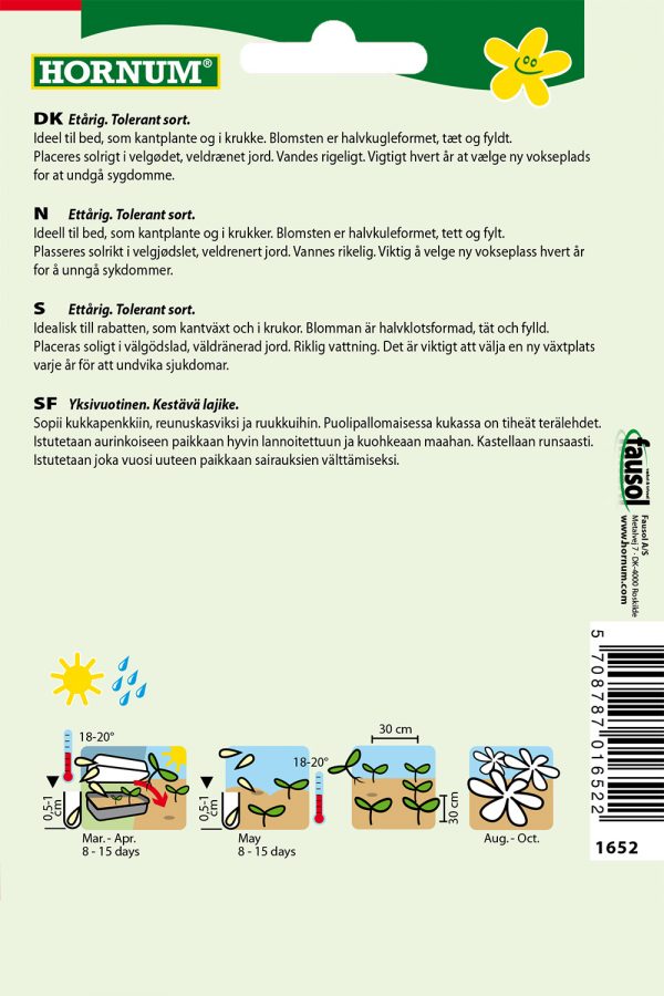 Kääpiöasteri, Lajitelma - Image 2
