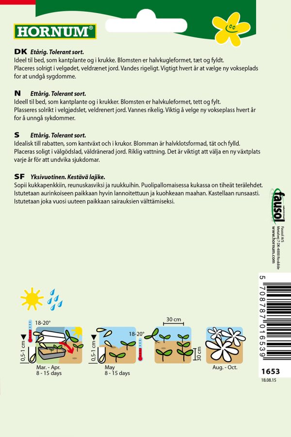 Kiinanasteri, Pompon, lajitelma - Image 2