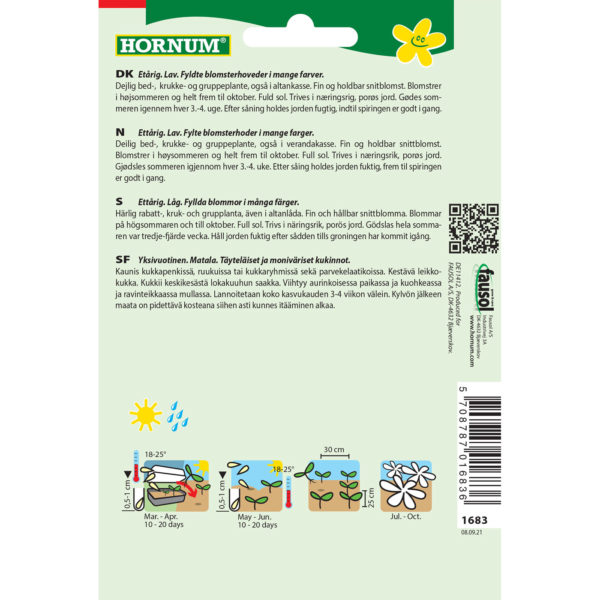 Isotsinnia, Lajitelma - Image 2