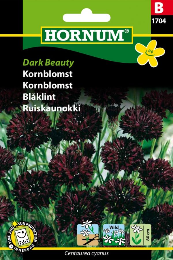 Ruiskaunokki Dark Beauty