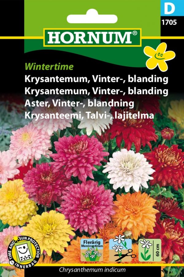 Krysanteemi, Talvi-, lajitelma